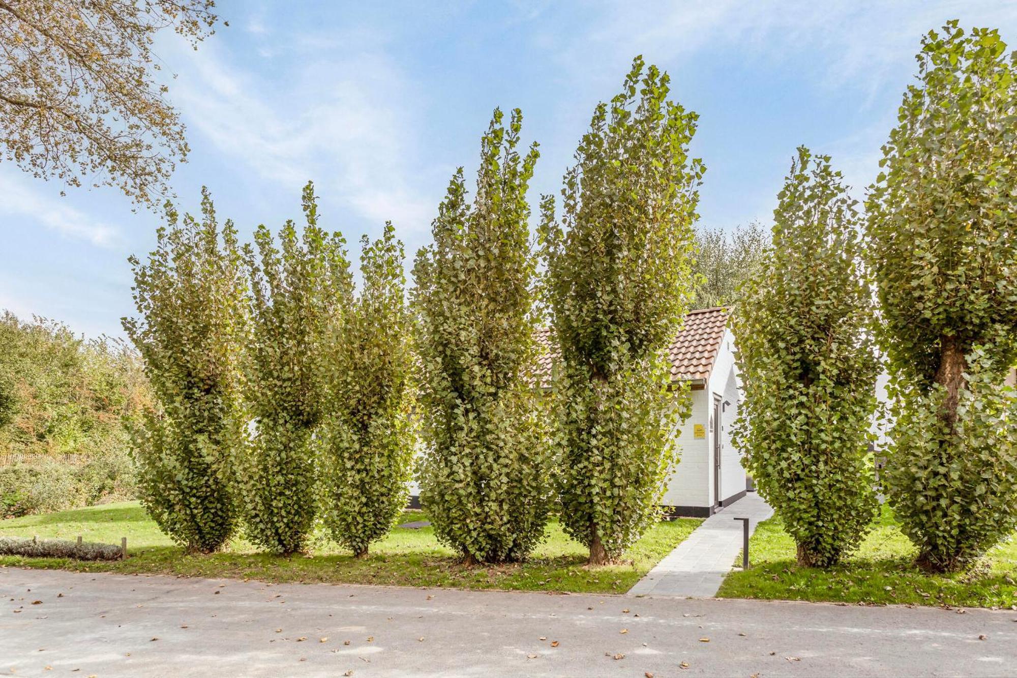 Вилла Casa Marit Вестоутер Экстерьер фото